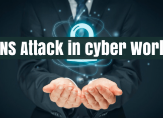 The dark side of the DNS or the war of the port 53